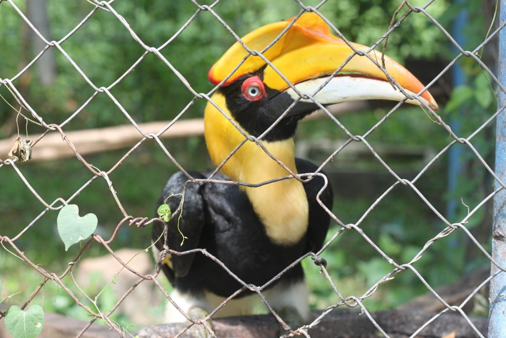 Phnom Tamoa Wildlife Rescus Center