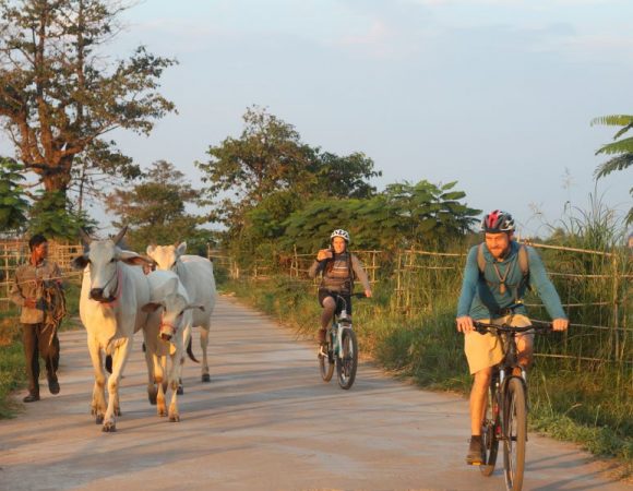 Mekong Island Bike Tour & Lunch with Farmers