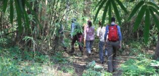Walking & Hiking Holidays