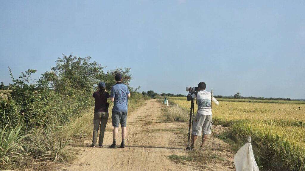 Try new experience with the bird watching tour in Cambodia.