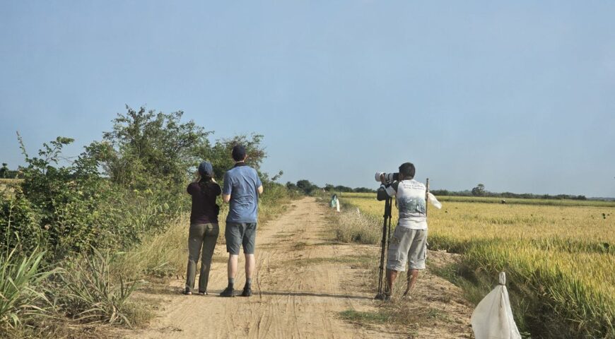 Bird Watching Tour in Cambodia