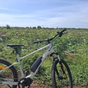 We use eBike for cycling to countryside to improve the sustainability.