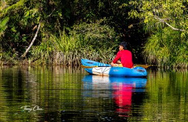 Kayaking in the river of cardamom mountain range